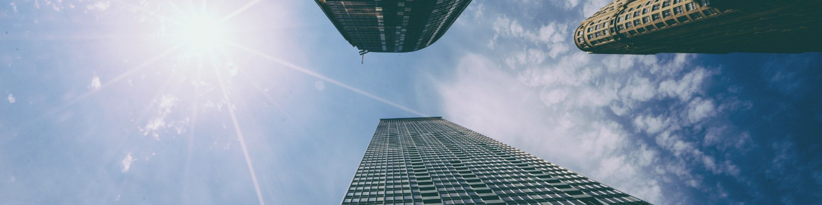 江門如何順利辦理香港公司年審的全攻略